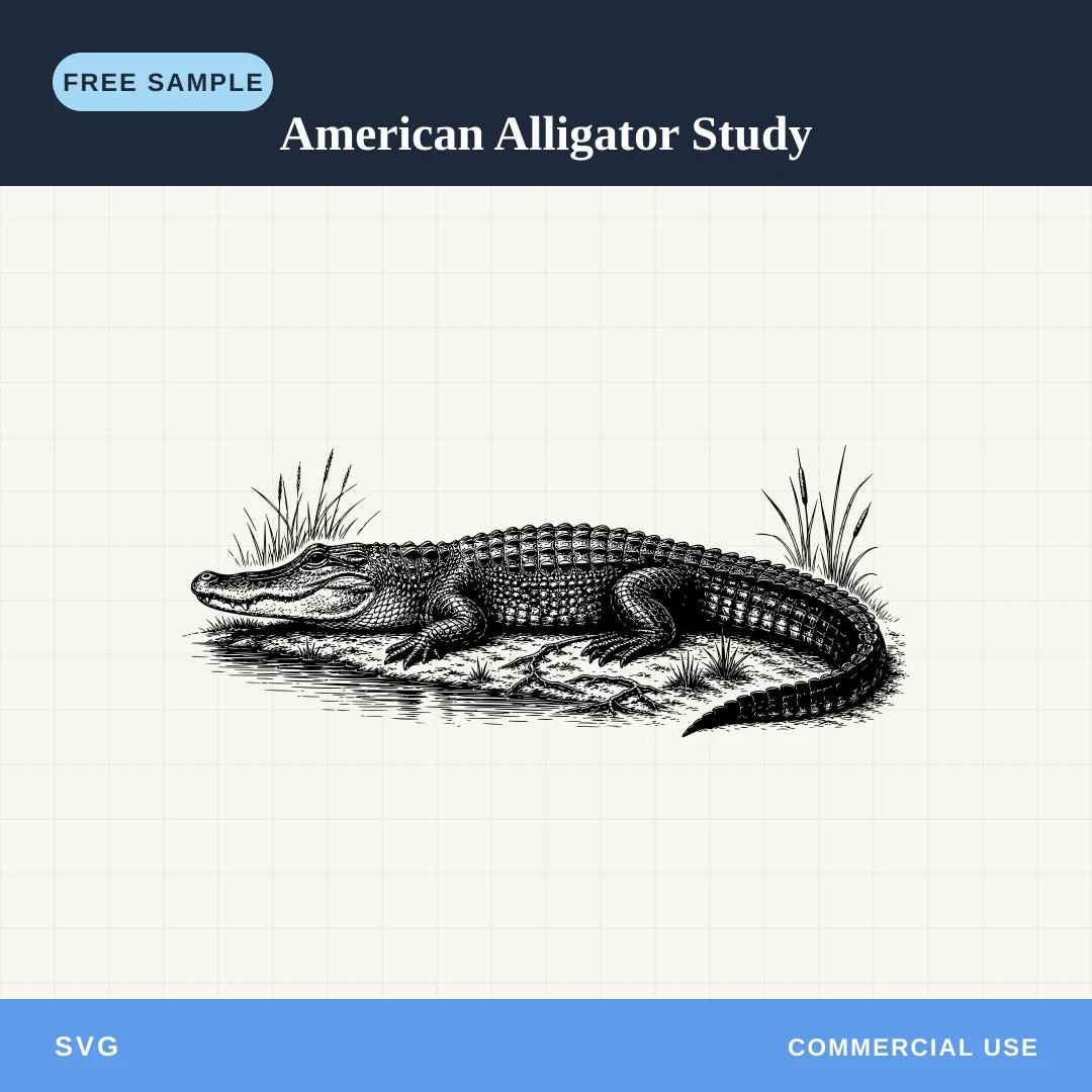Free American Alligator Study SVG sample