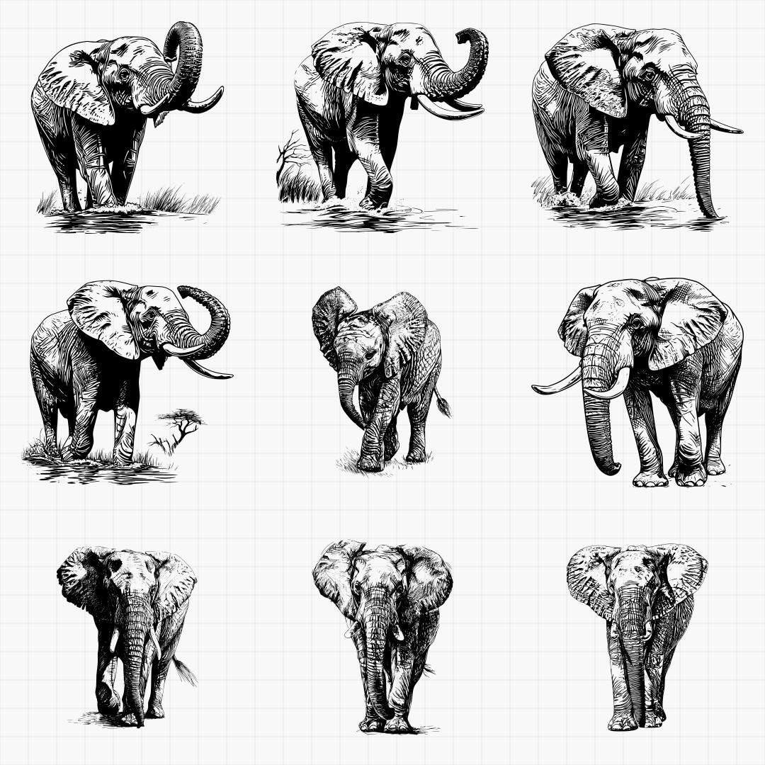 African Elephants Designs - Thumbnail 3