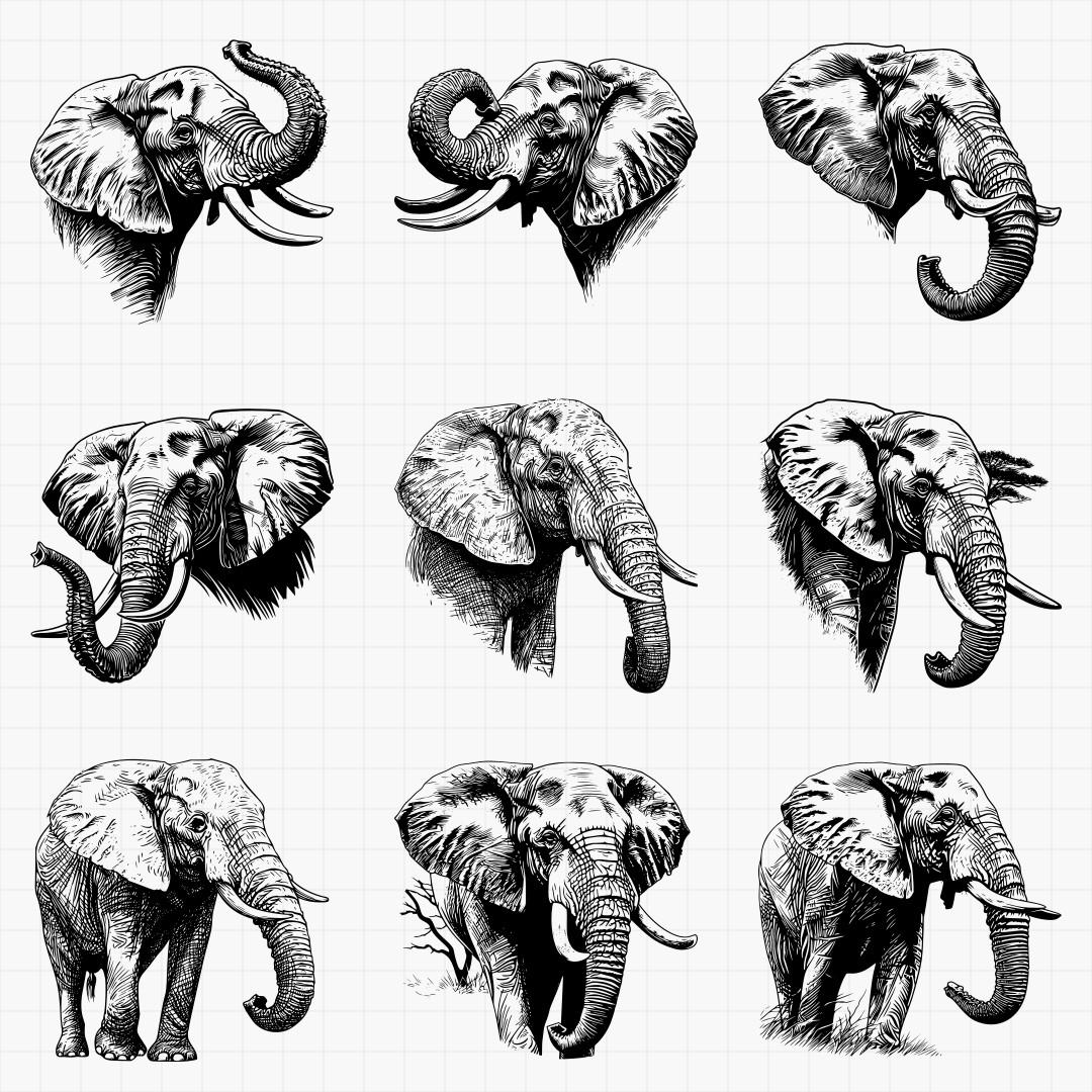 African Elephants Designs - Thumbnail 5