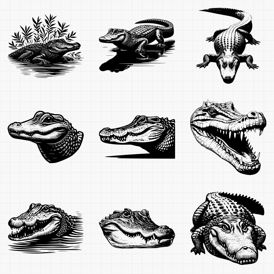 Alligator And Crocodile Designs Pack - Thumbnail 2