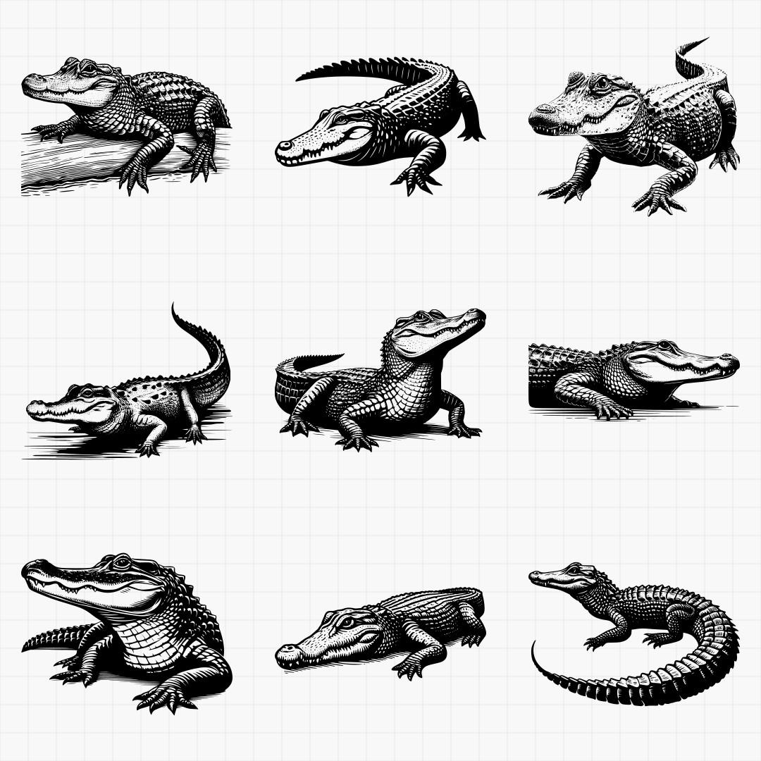Alligator And Crocodile Designs Pack - Thumbnail 3