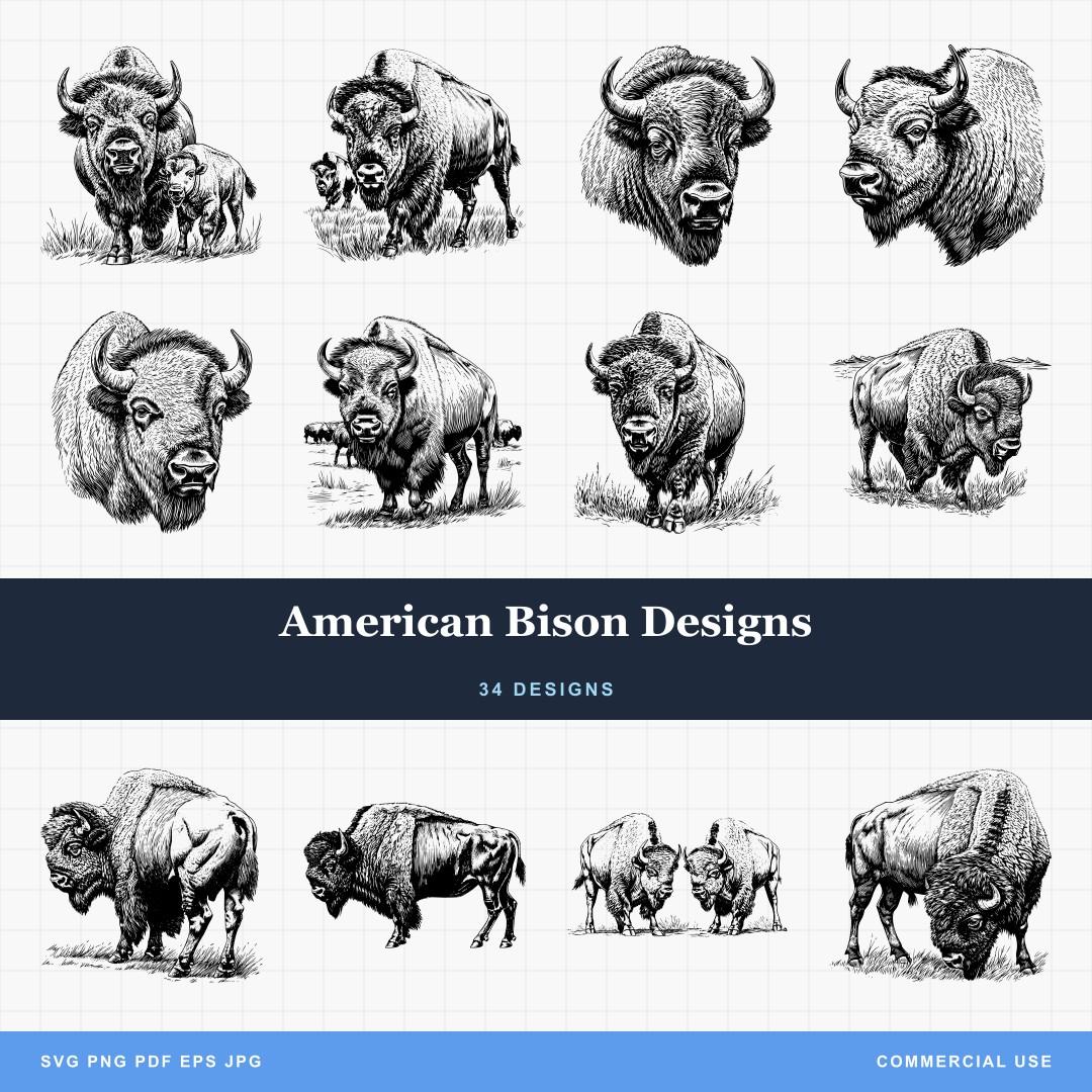 American Bison Designs