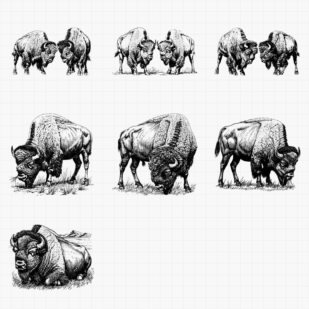 American Bison Designs - Thumbnail 5