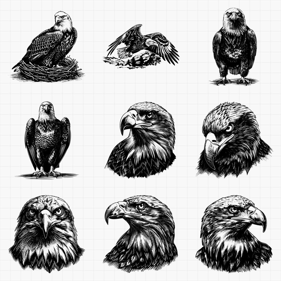 Bald Eagle Designs - Thumbnail 2