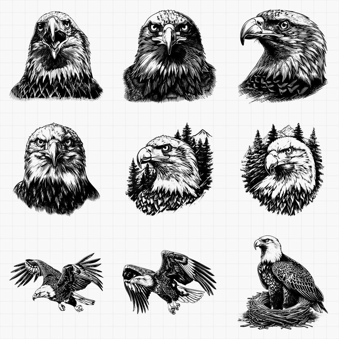 Bald Eagle Designs - Thumbnail 3