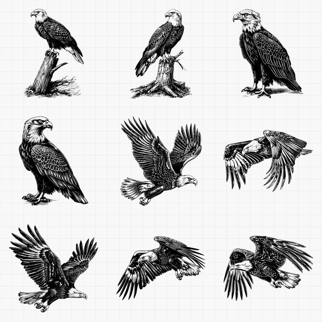 Bald Eagle Designs - Thumbnail 4