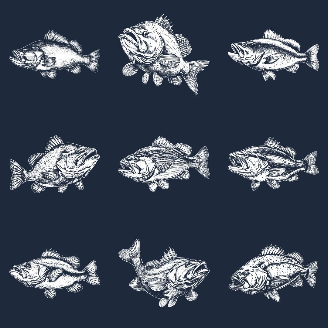 Bass Designs For Slate - Thumbnail 2