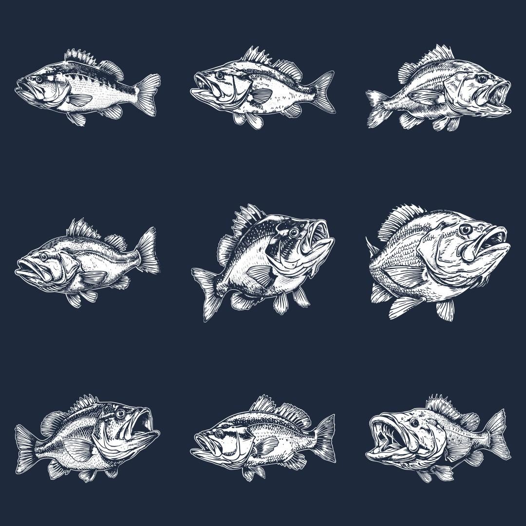 Bass Designs For Slate - Thumbnail 3