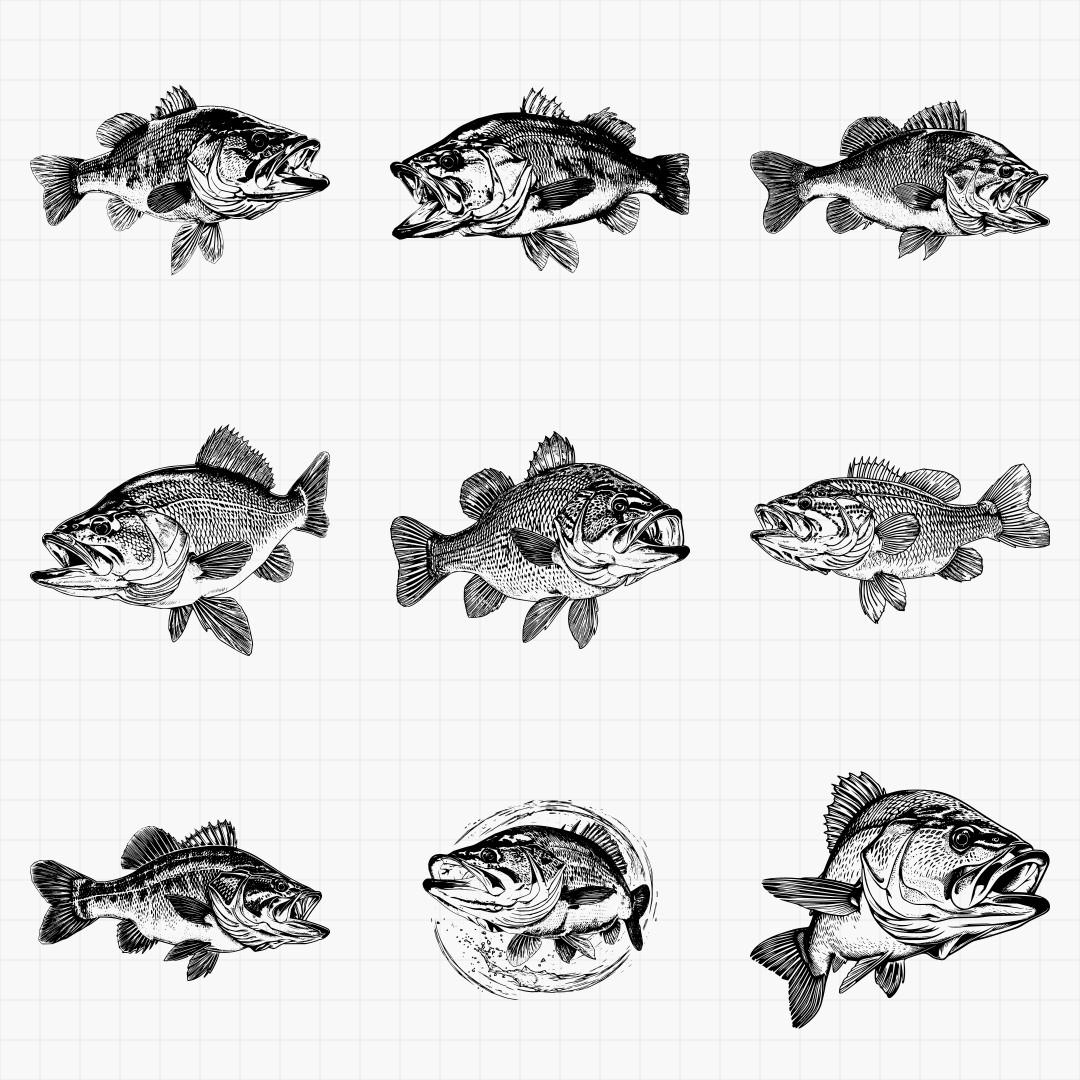Bass Fish Designs - Thumbnail 3
