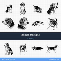 Beagle Designs
