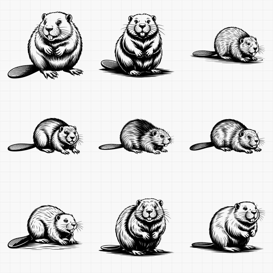 Beaver Designs - Thumbnail 6