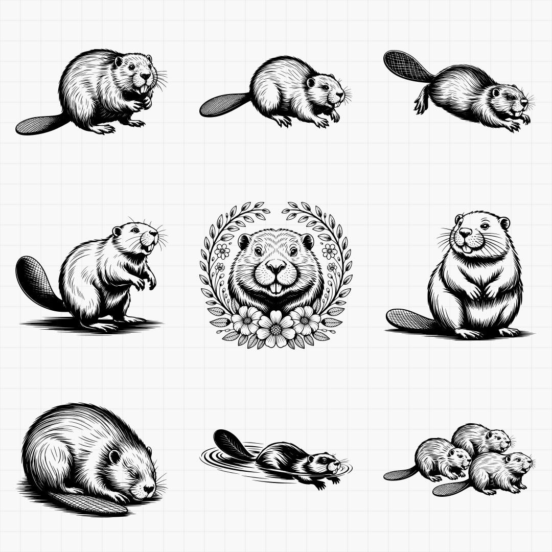 Beaver Designs - Thumbnail 7