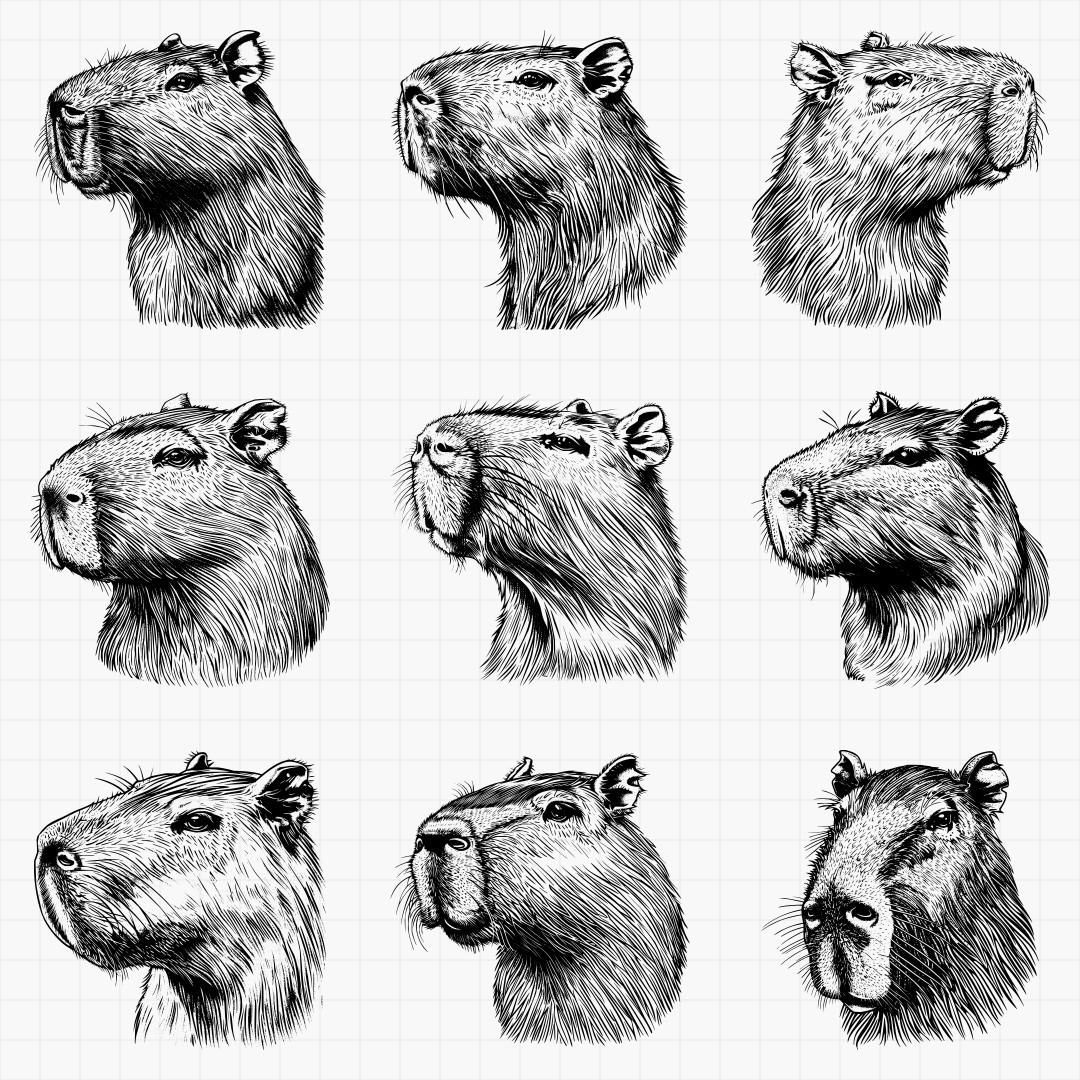 Capybara Designs - Thumbnail 3