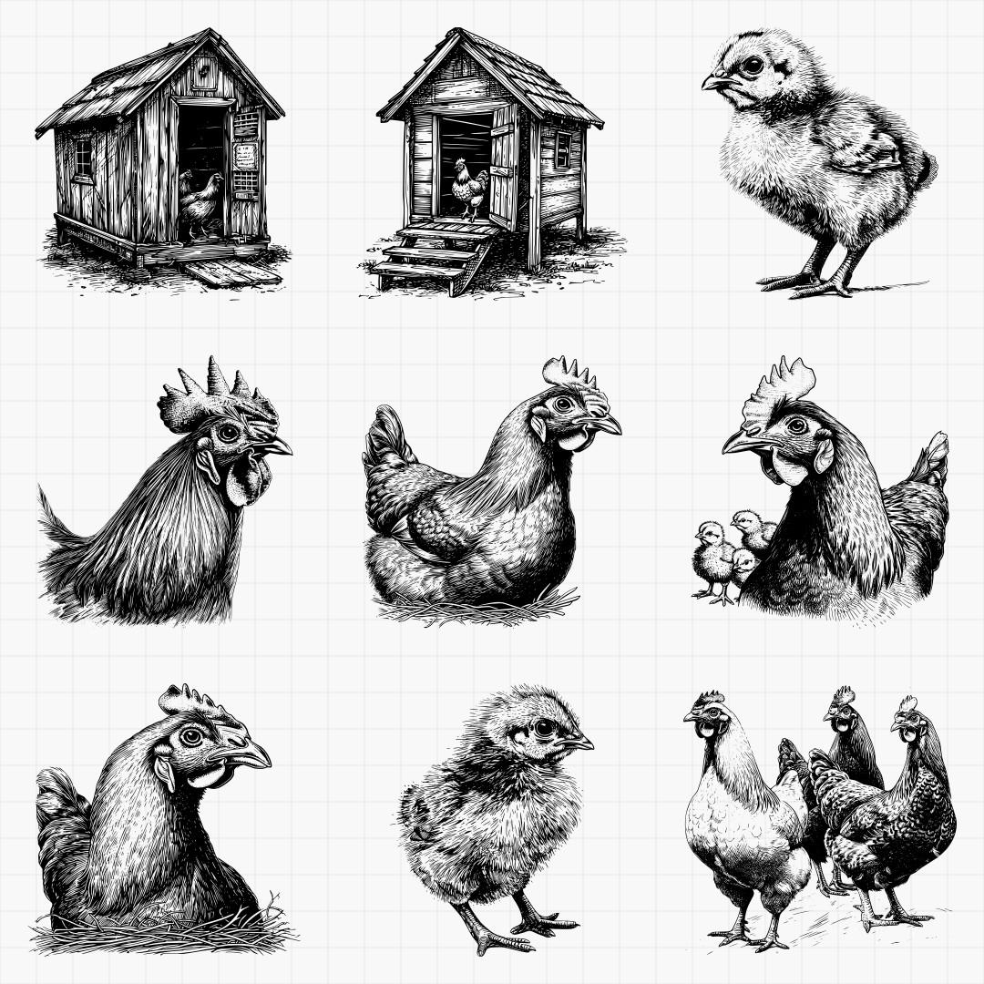 Chicken Designs Pack - Thumbnail 2