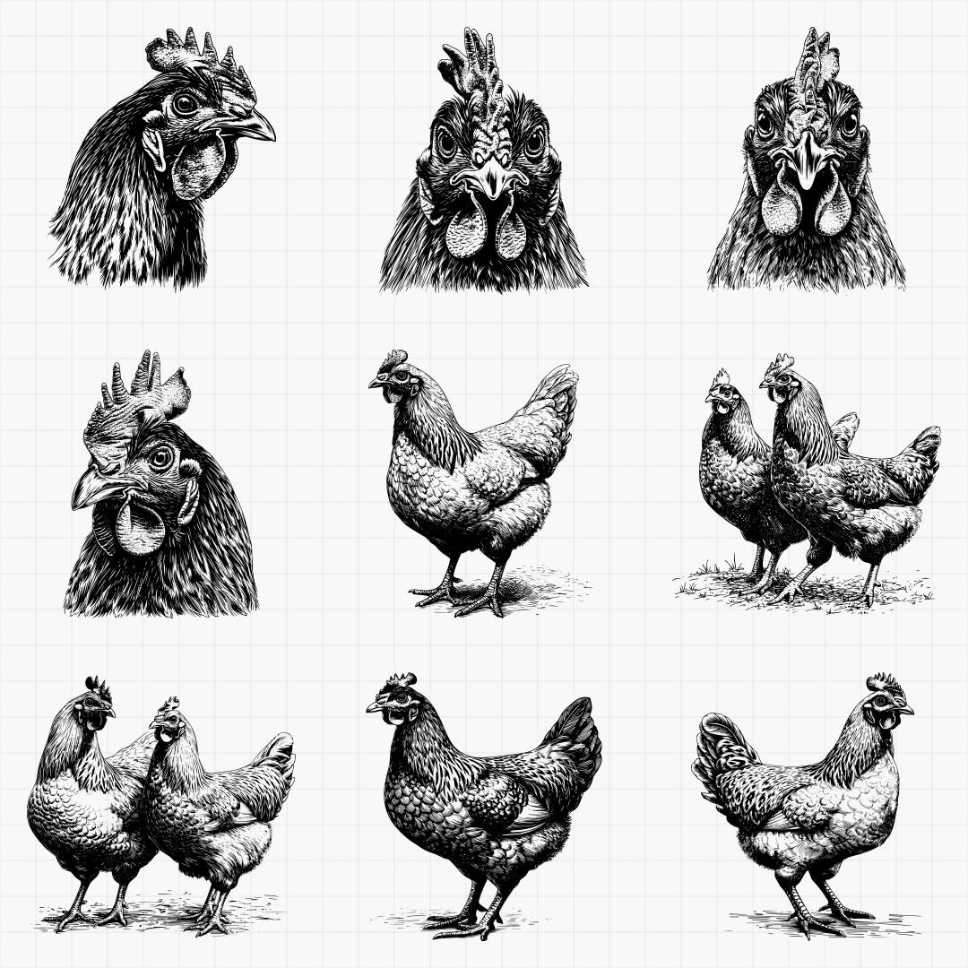 Chicken Designs Pack - Thumbnail 3