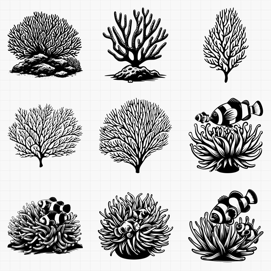 Coral And Sea Anemone Pack - Thumbnail 2