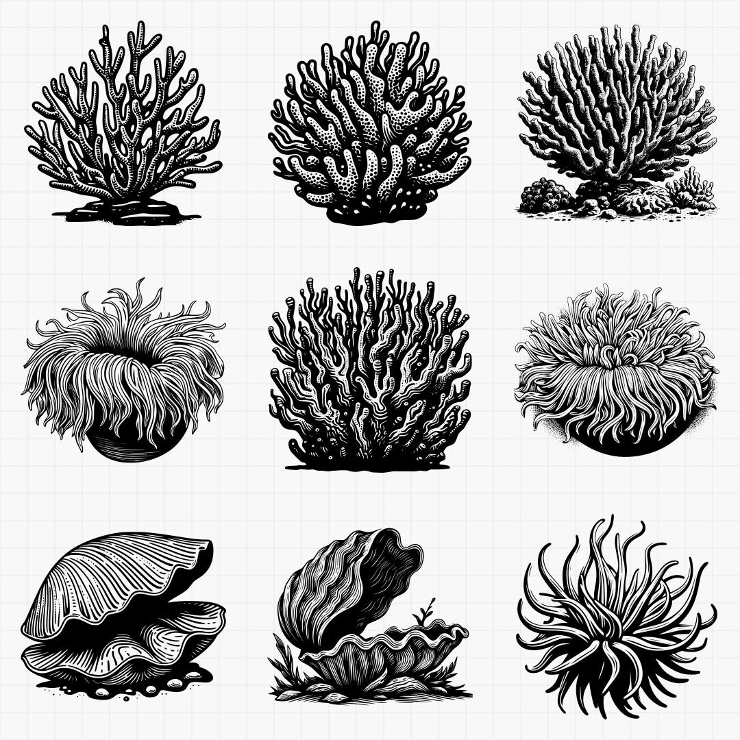 Coral And Sea Anemone Pack - Thumbnail 5