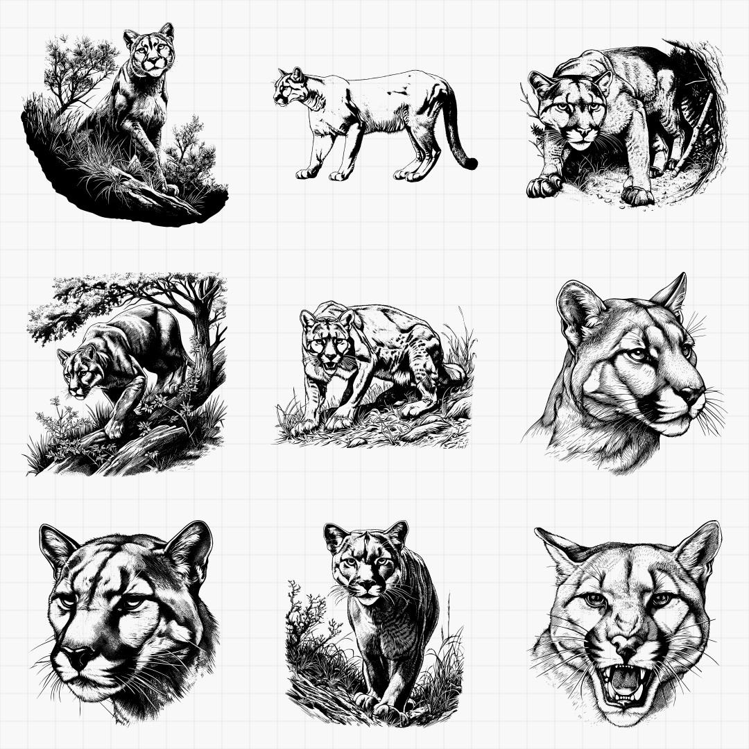 Cougar Designs Pack - Thumbnail 2