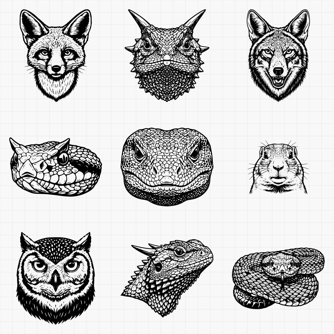 Desert And Southwest Animals - Thumbnail 2