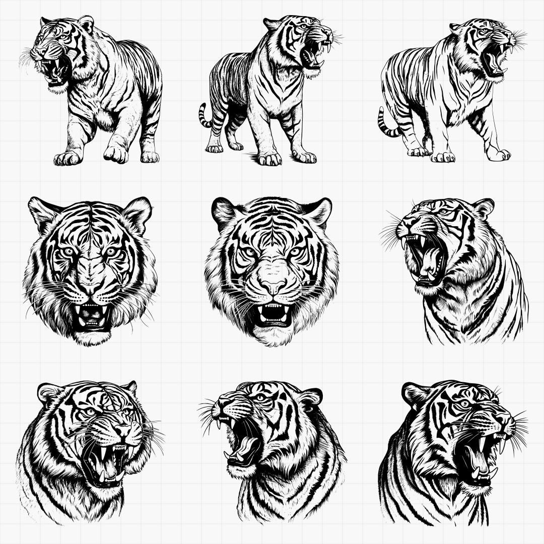 Detailed Tiger Designs - Thumbnail 3