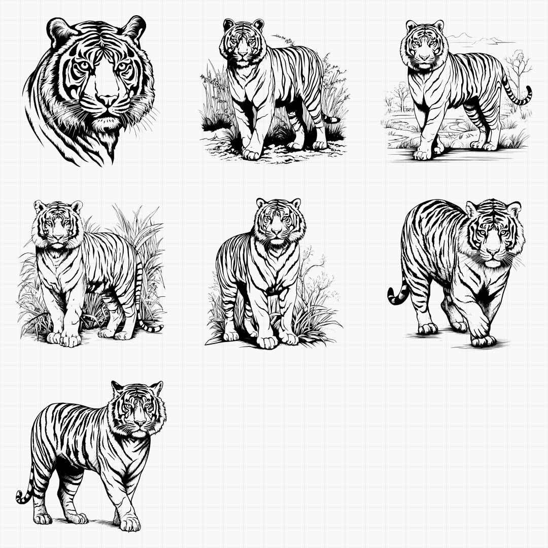 Detailed Tiger Designs - Thumbnail 5