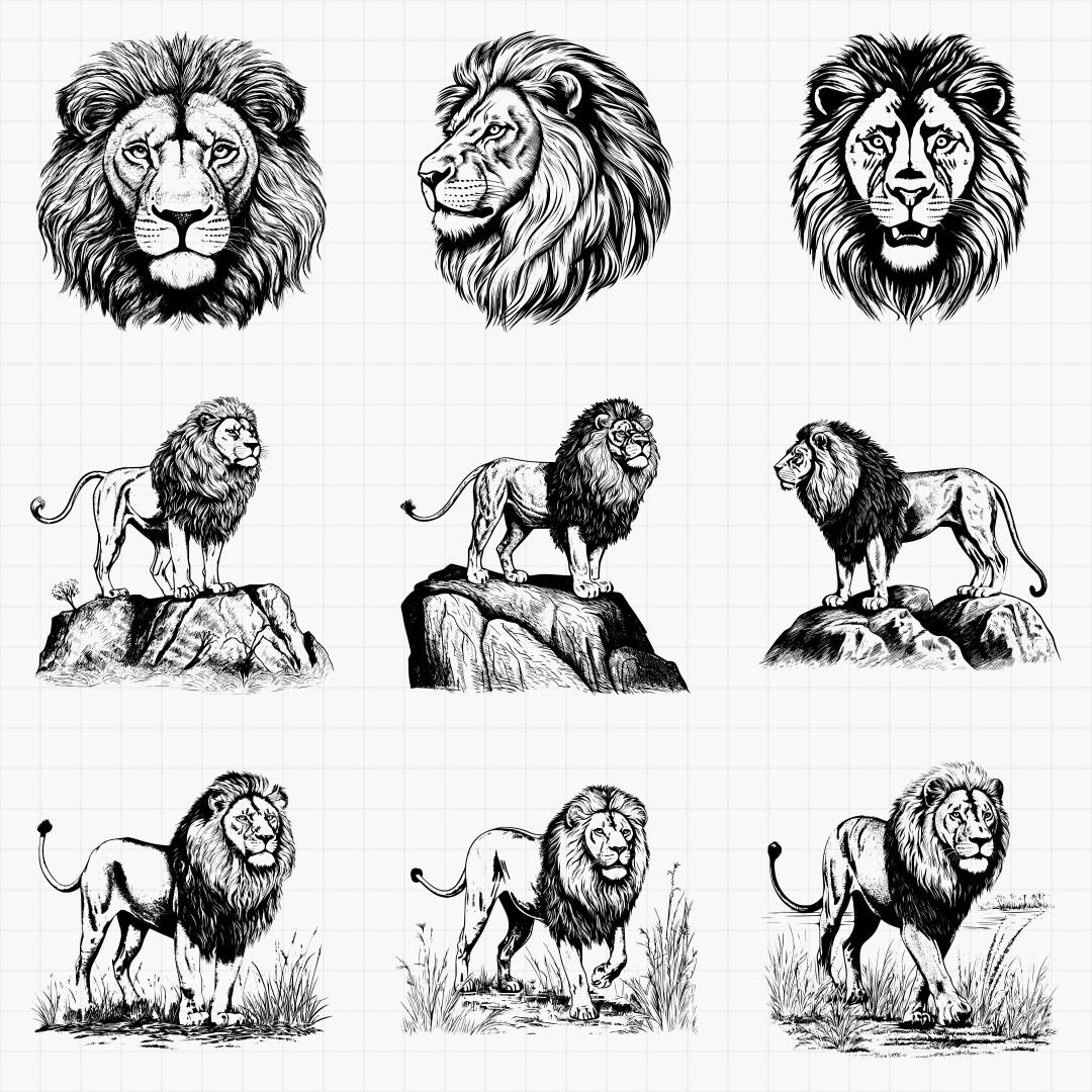 Detialed Lion Designs Pack - Thumbnail 2