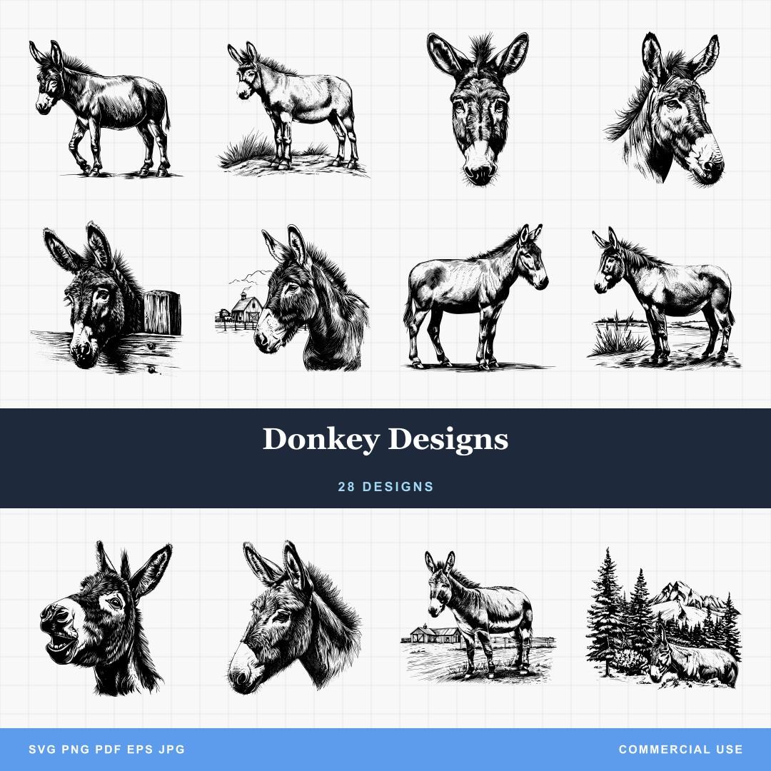Donkey Designs