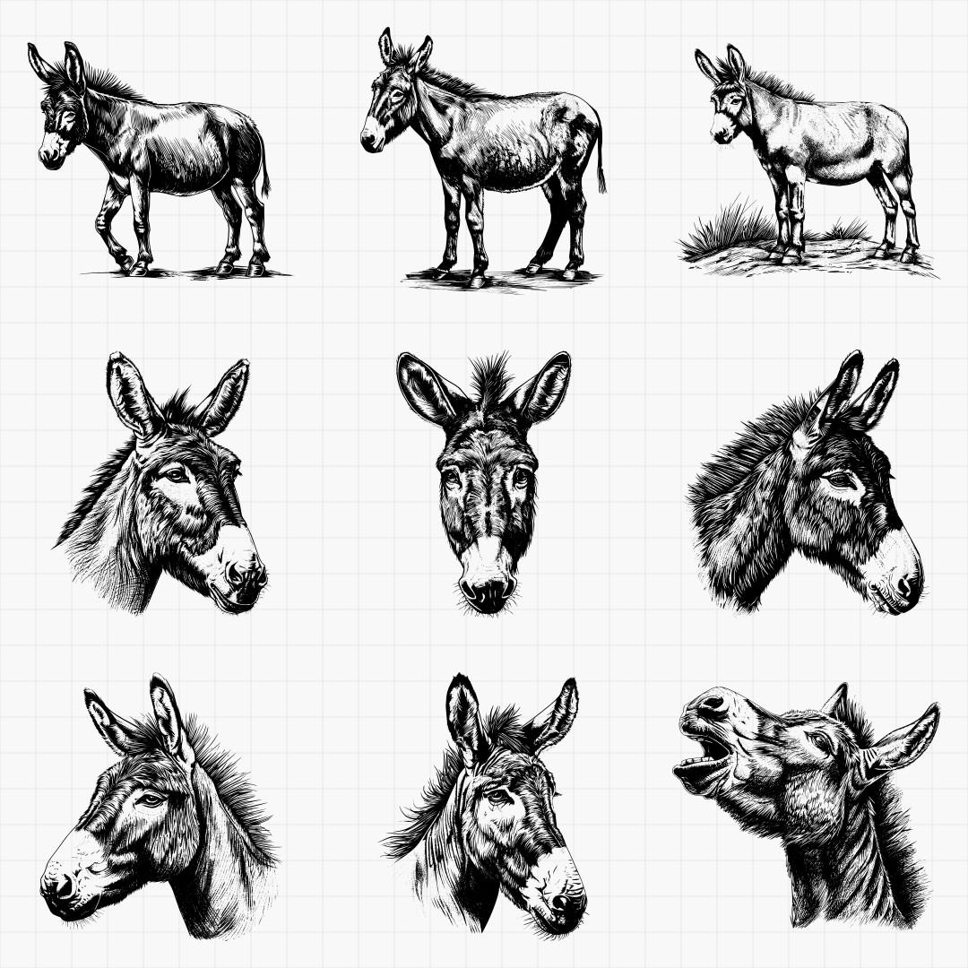 Donkey Designs - Thumbnail 2