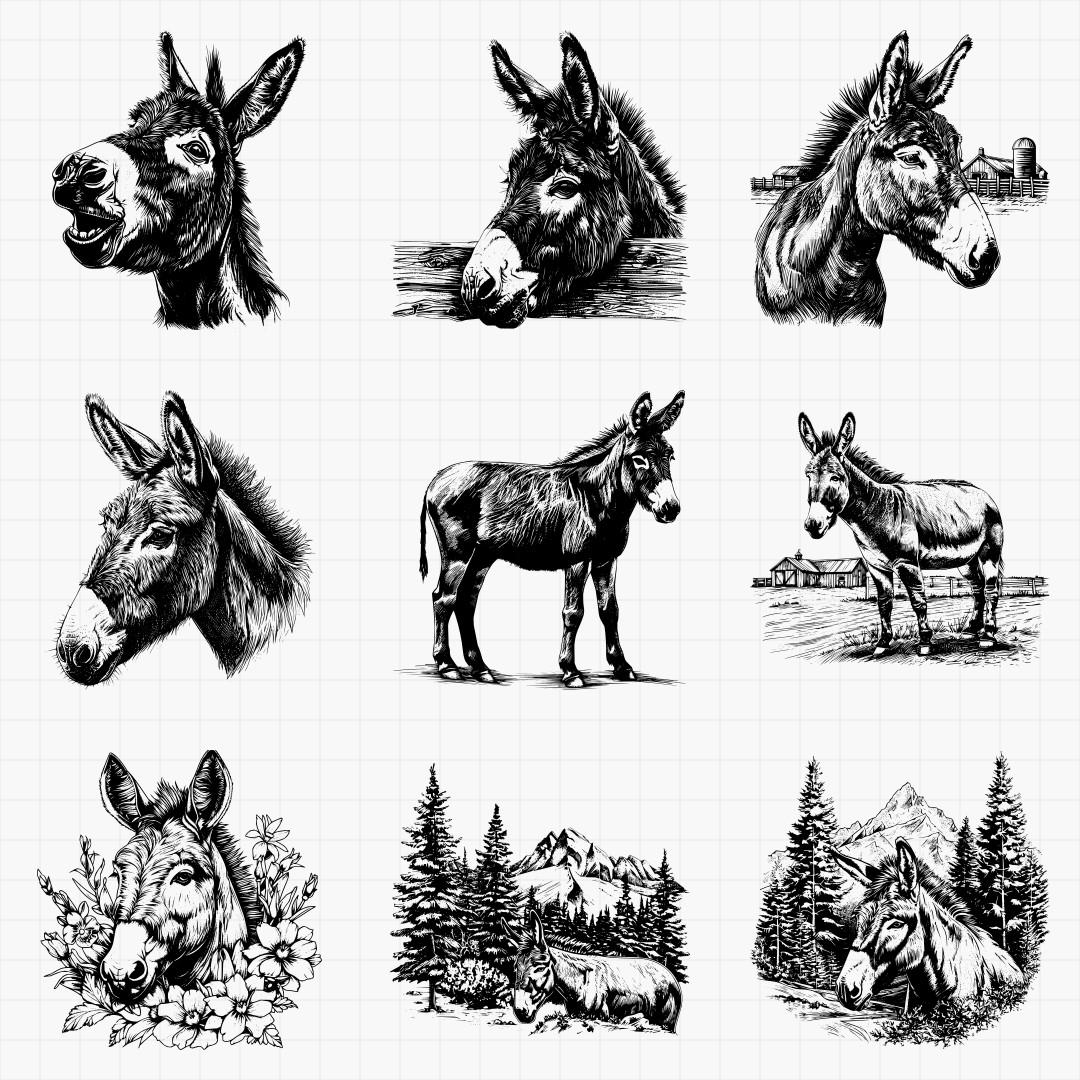 Donkey Designs - Thumbnail 4