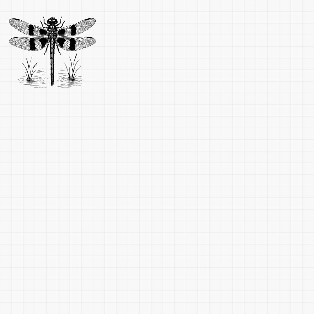 Dragonfly SVG Designs - Thumbnail 5