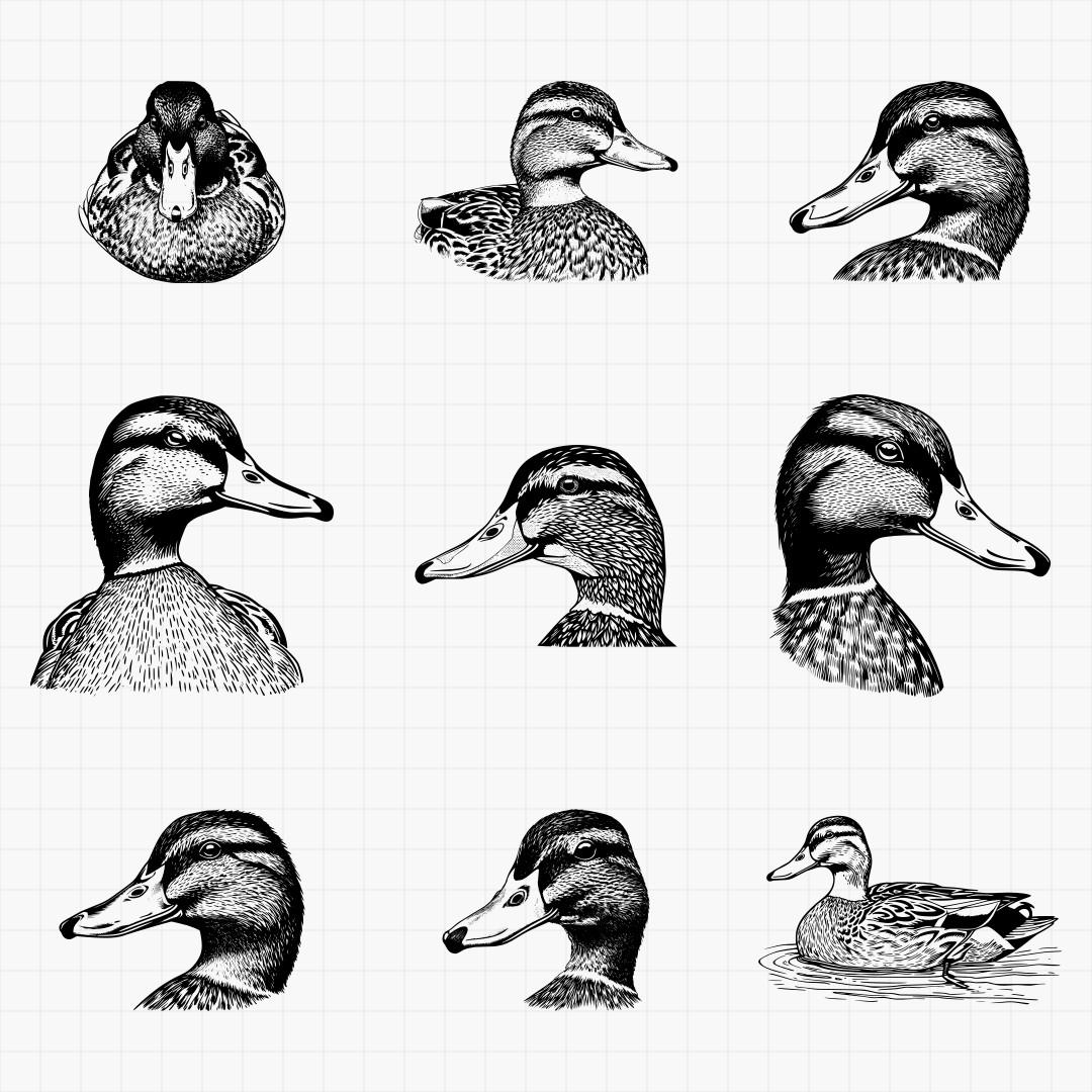 Duck Designs - Thumbnail 2