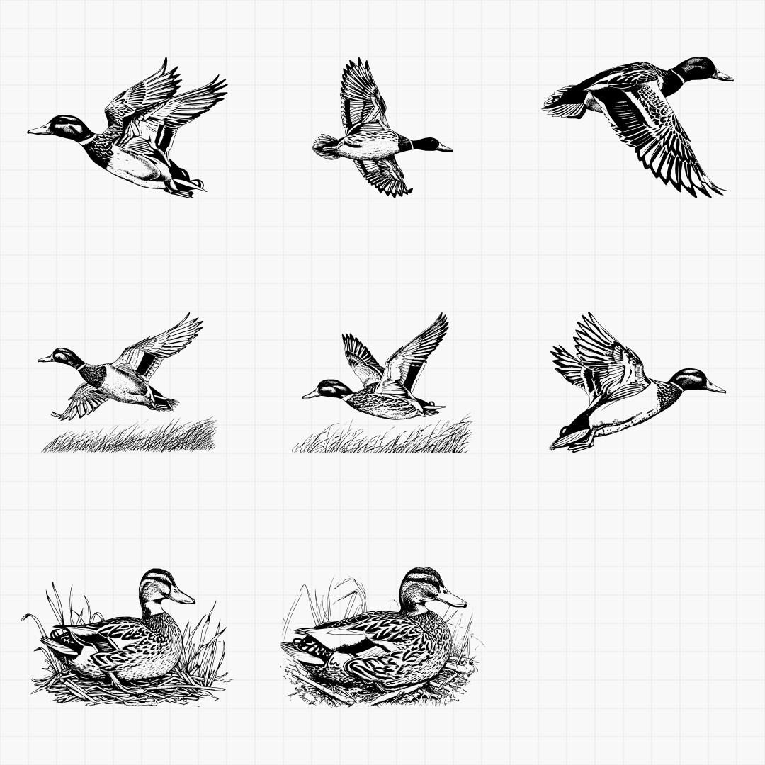 Duck Designs - Thumbnail 8