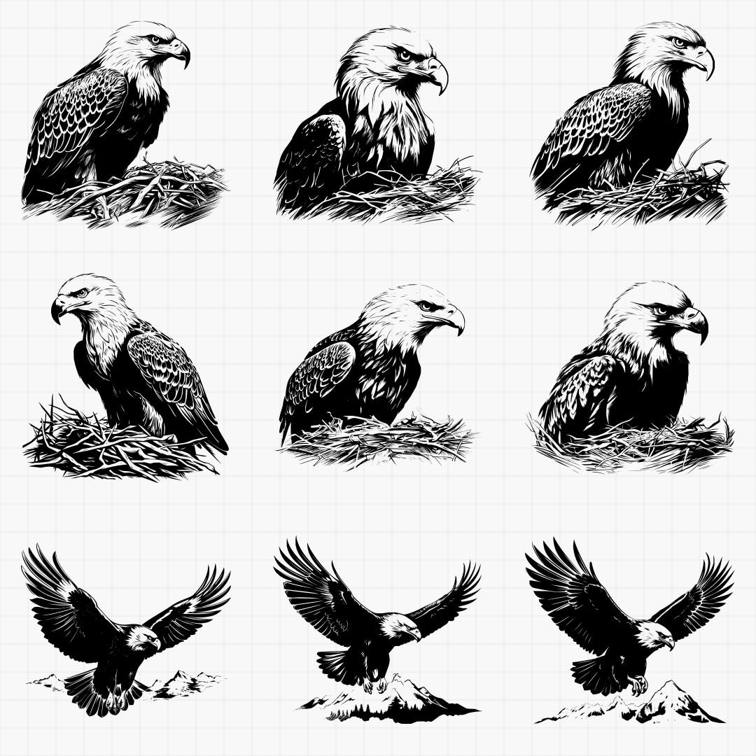 Eagle Designs - Thumbnail 4