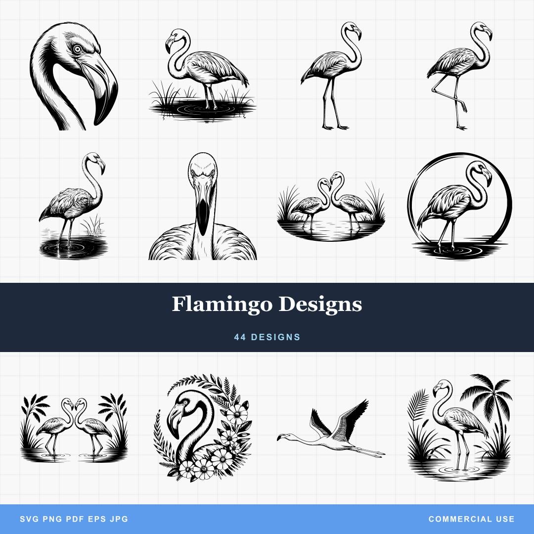 Flamingo Designs
