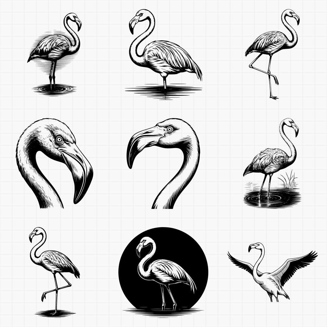 Flamingo Designs - Thumbnail 3