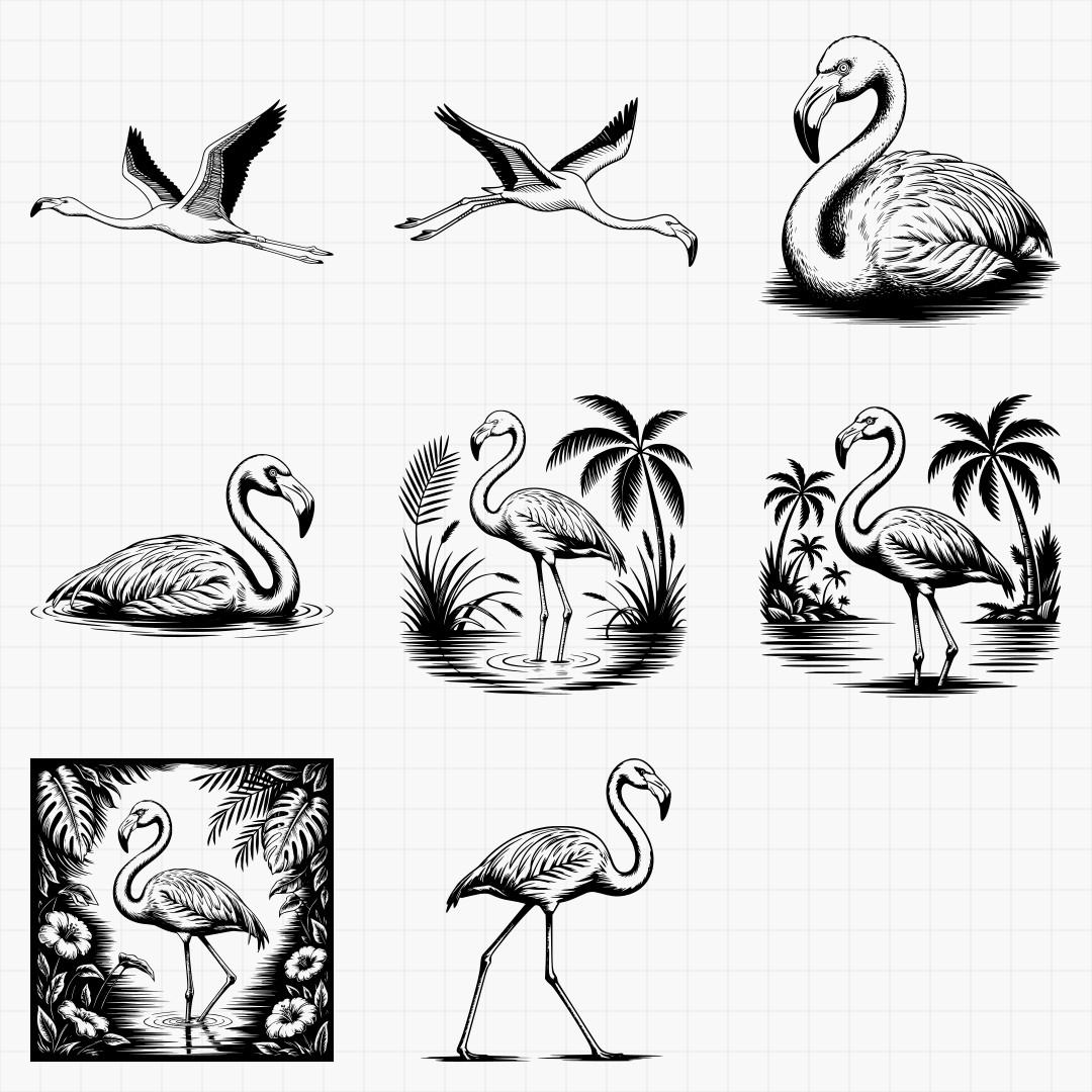 Flamingo Designs - Thumbnail 6