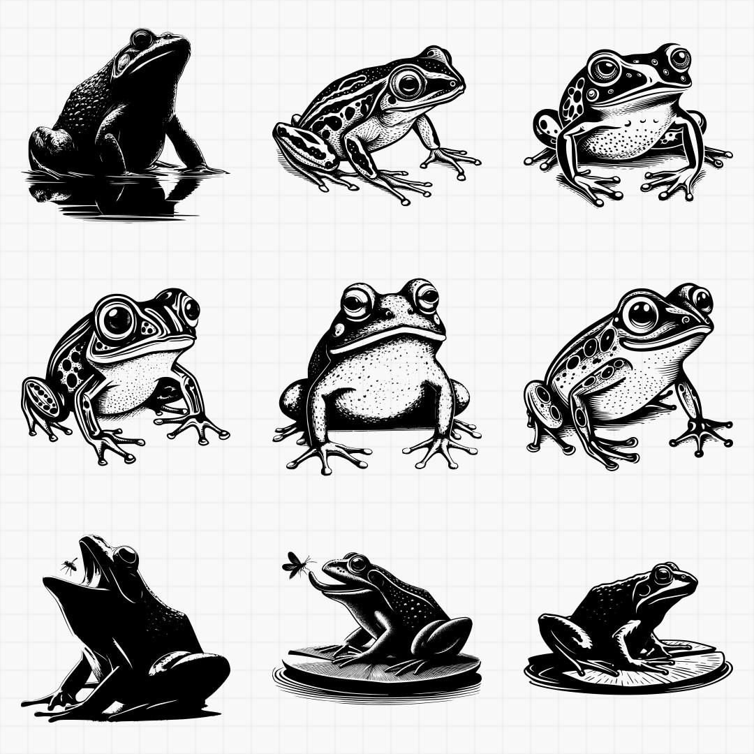 Frogs Pack - Thumbnail 2