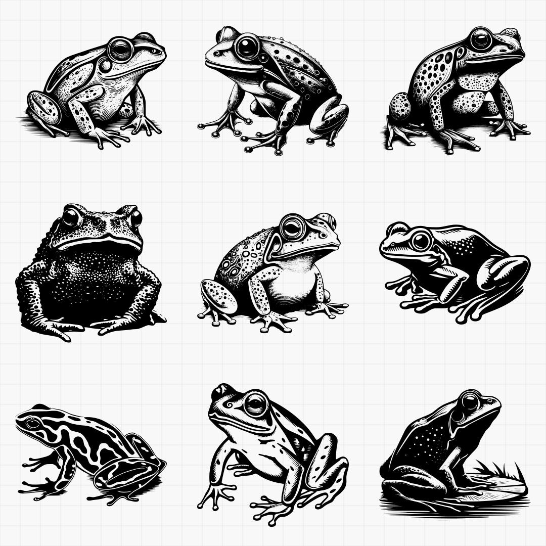 Frogs Pack - Thumbnail 5