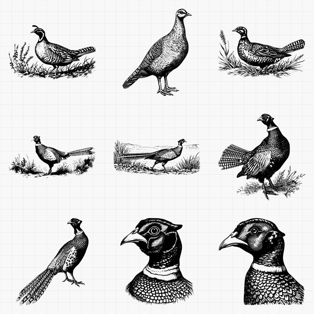 Game Bird Designs Pack - Thumbnail 2