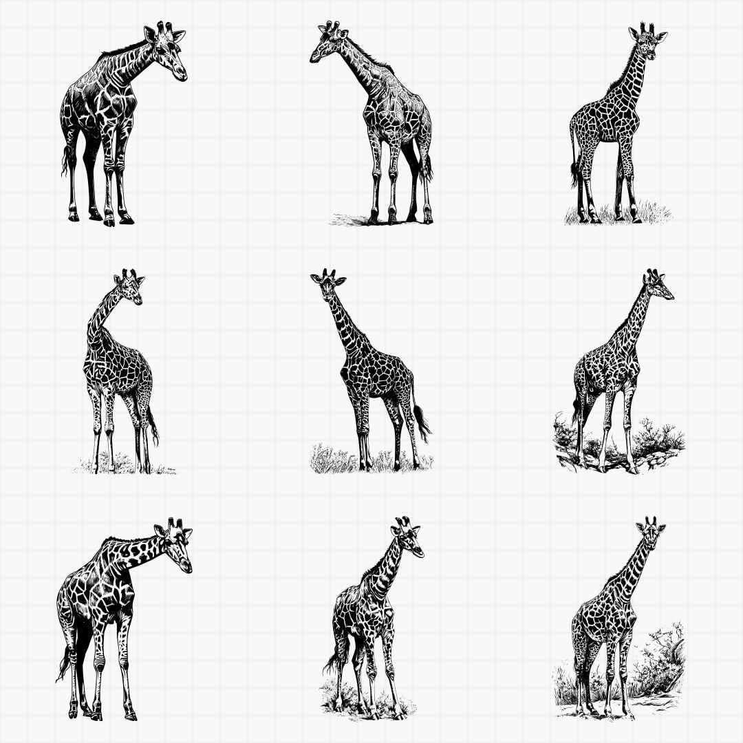 Giraffe Designs - Thumbnail 5