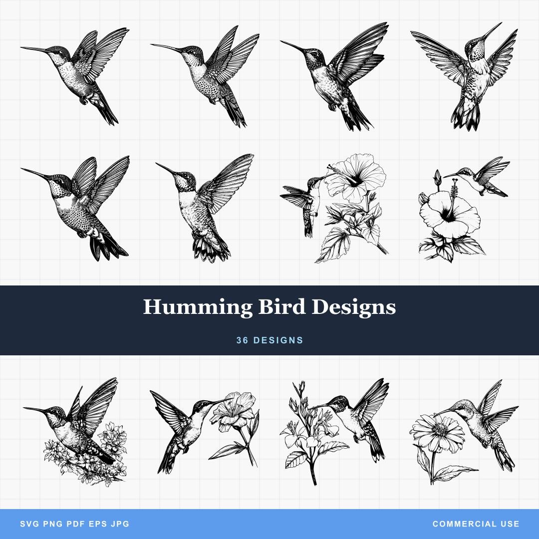 Humming Bird Designs
