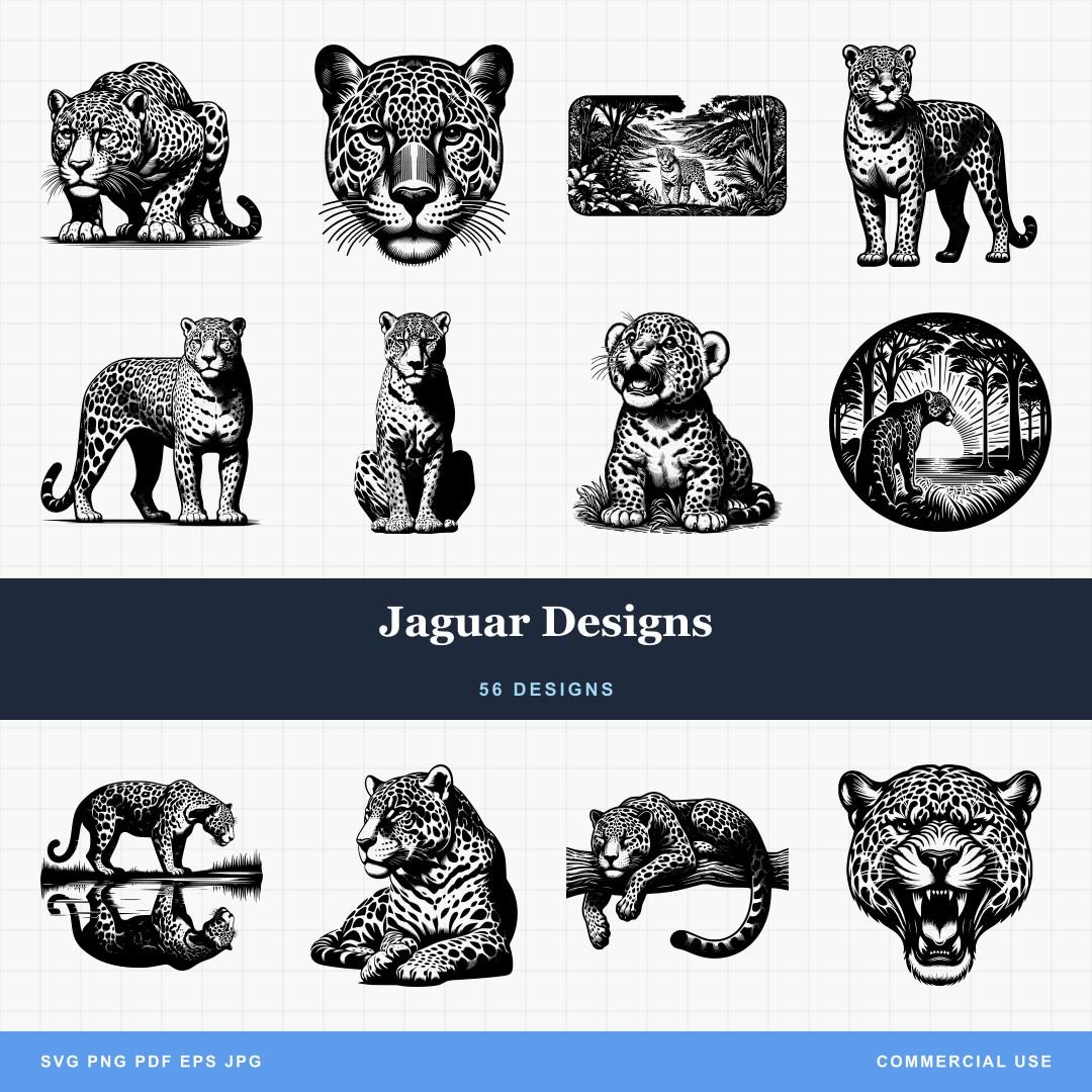 Jaguar Designs