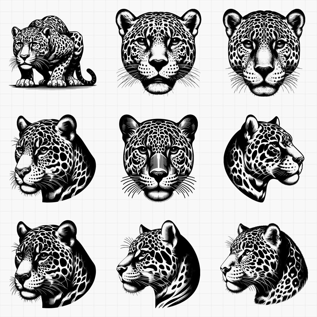 Jaguar Designs - Thumbnail 2