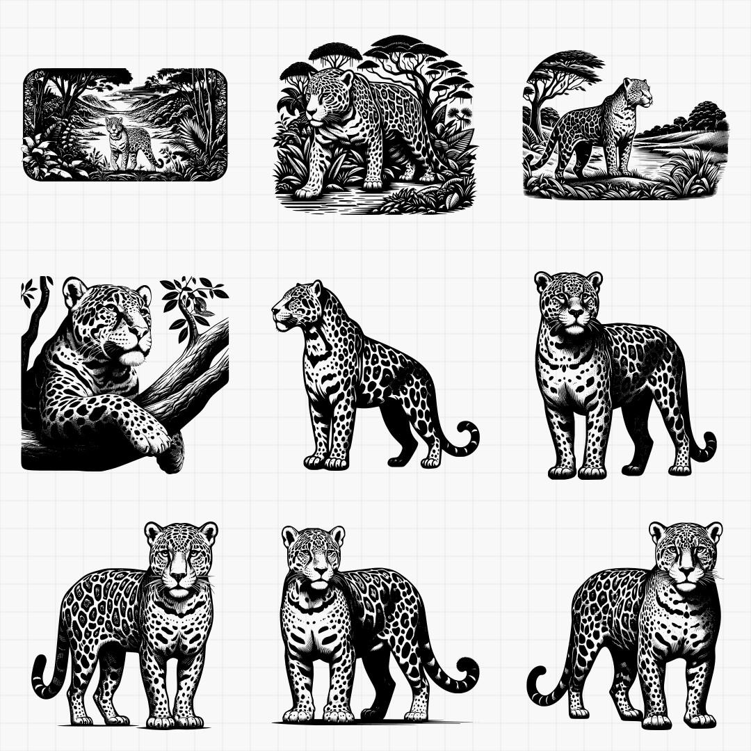 Jaguar Designs - Thumbnail 3