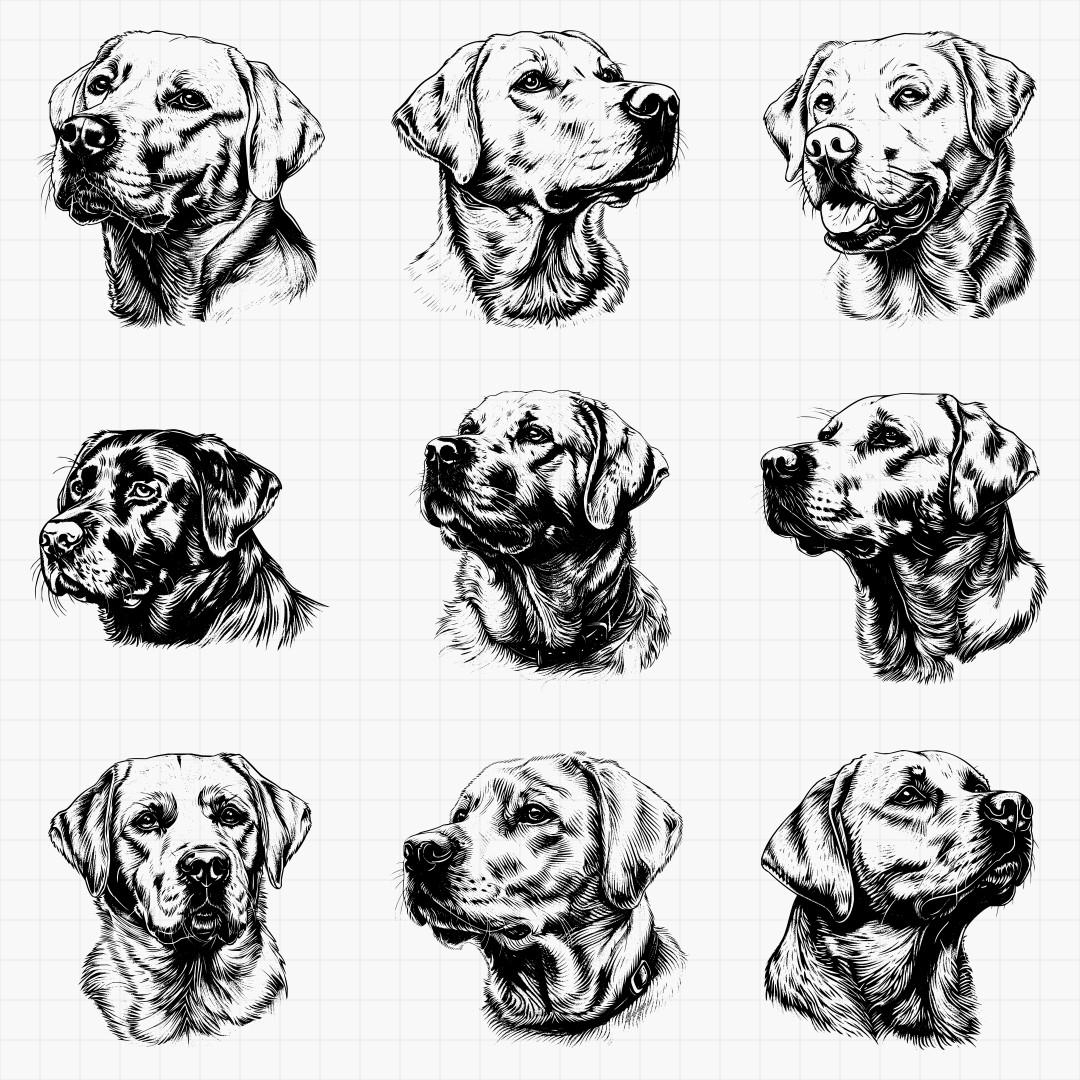 Labrador Designs - Thumbnail 2