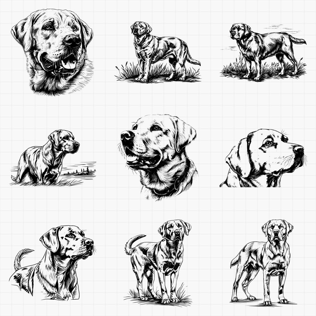 Labrador Designs - Thumbnail 3