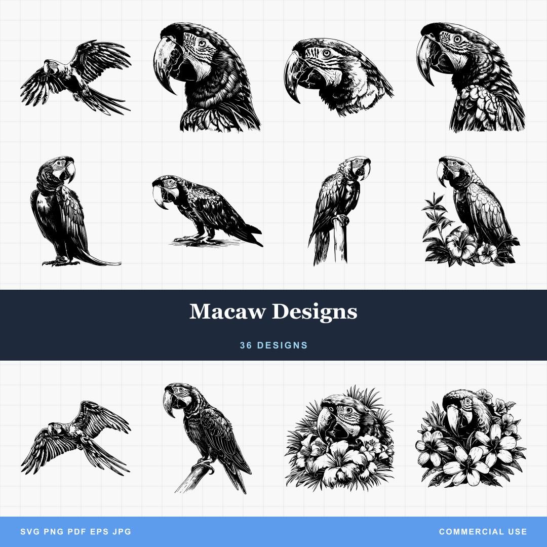 Macaw Designs