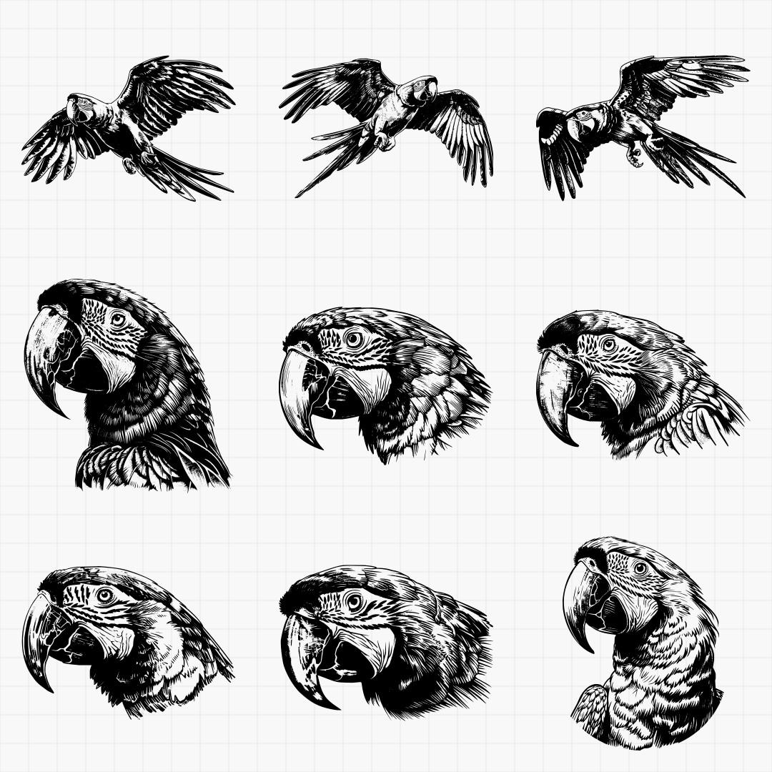 Macaw Designs - Thumbnail 2