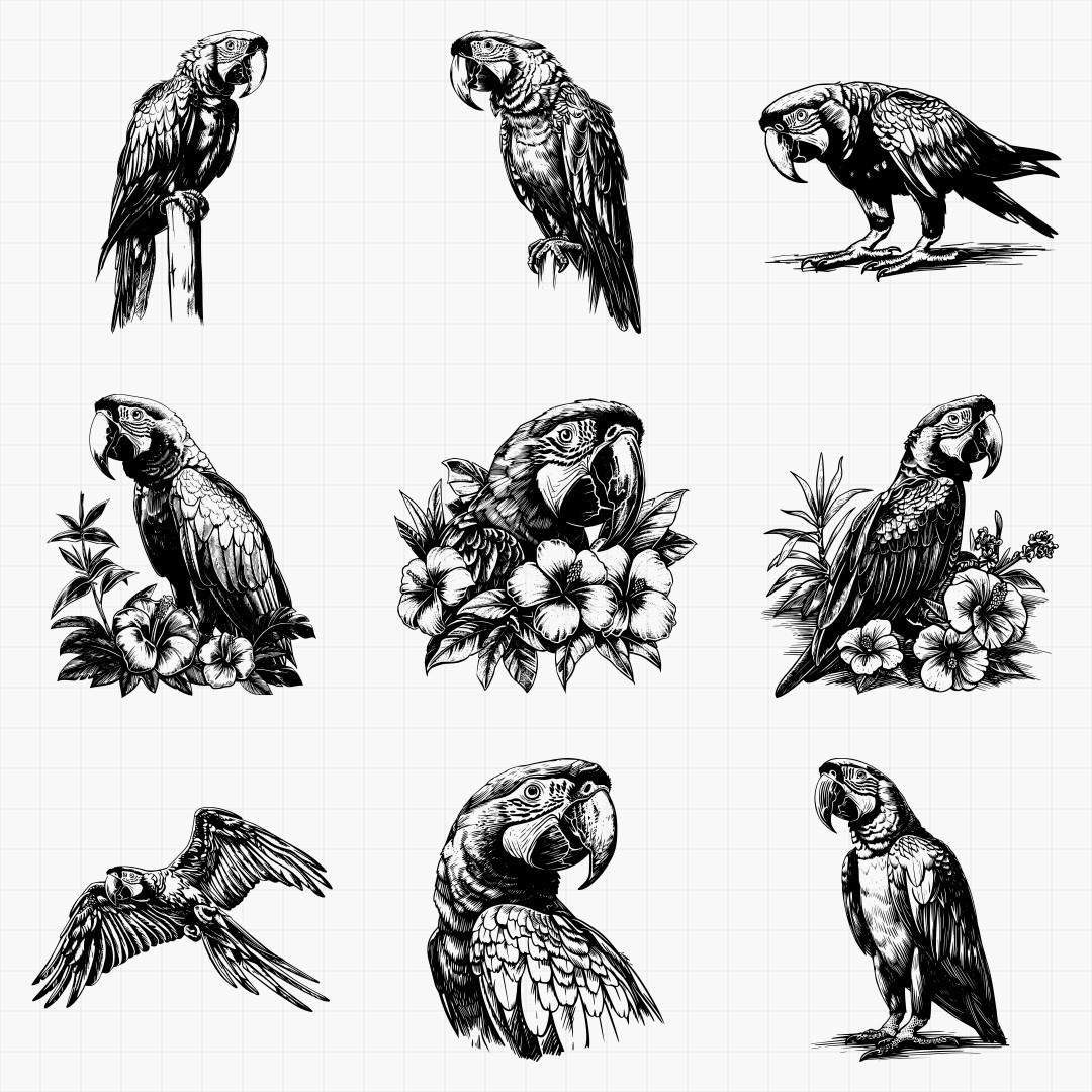 Macaw Designs - Thumbnail 4