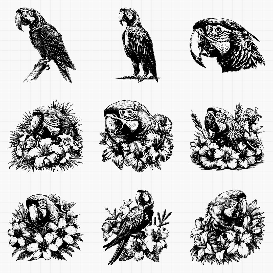 Macaw Designs - Thumbnail 5